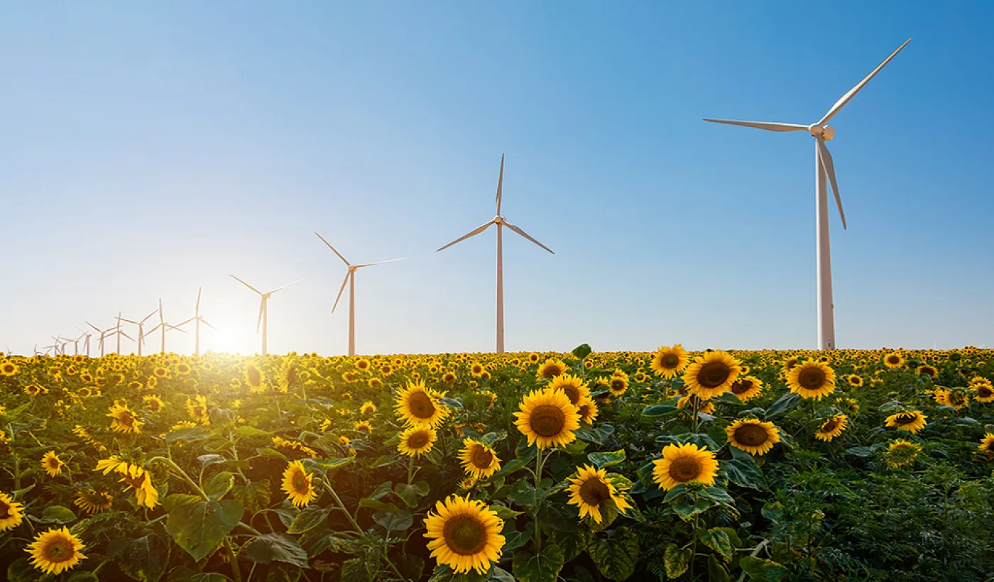 Qué es la huella de carbono y cómo reducir la tuya con pequeñas acciones Qué es la huella de carbono y cómo reducir la tuya con pequeñas acciones